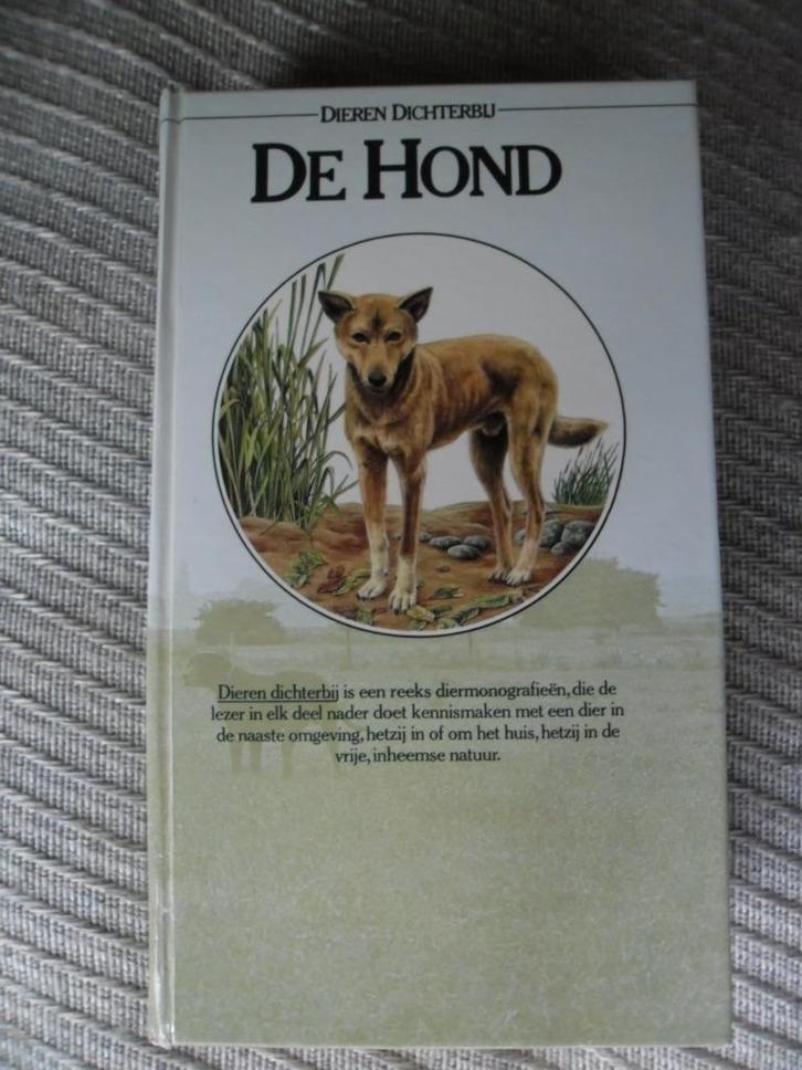 De Hond-M A J Verwer, Boeken, Dieren en Huisdieren, Zo goed als nieuw, Honden, Ophalen of Verzenden