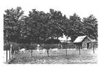 990372 Werkendam Hertenkamp 1965 N Br Gelopen met postzegel