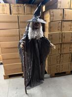 Animatronic halloween pop wizard, Hobby en Vrije tijd, Ophalen of Verzenden, Zo goed als nieuw, Halloween of Griezel