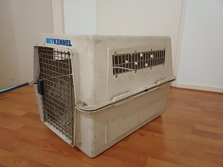 Bench voor hond, Dieren en Toebehoren, Hondenbenches, Gebruikt, Ophalen