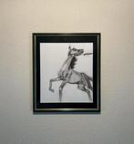 Houtskool tekening Wild Paard incl lijst; Wildebras, Ophalen of Verzenden