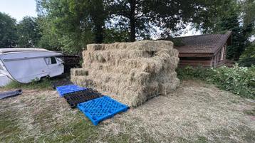 150 pakjes hooi (vrij van jacobskruiskruid )  beschikbaar voor biedingen