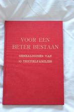 Voor een beter bestaan Nijverdal, H.Scholten, Boeken, Geschiedenis | Stad en Regio, Ophalen of Verzenden, Zo goed als nieuw