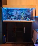 Juwel Rio 180 met Helialux Spectrum en controller, Dieren en Toebehoren, Ophalen, Gebruikt, Leeg aquarium