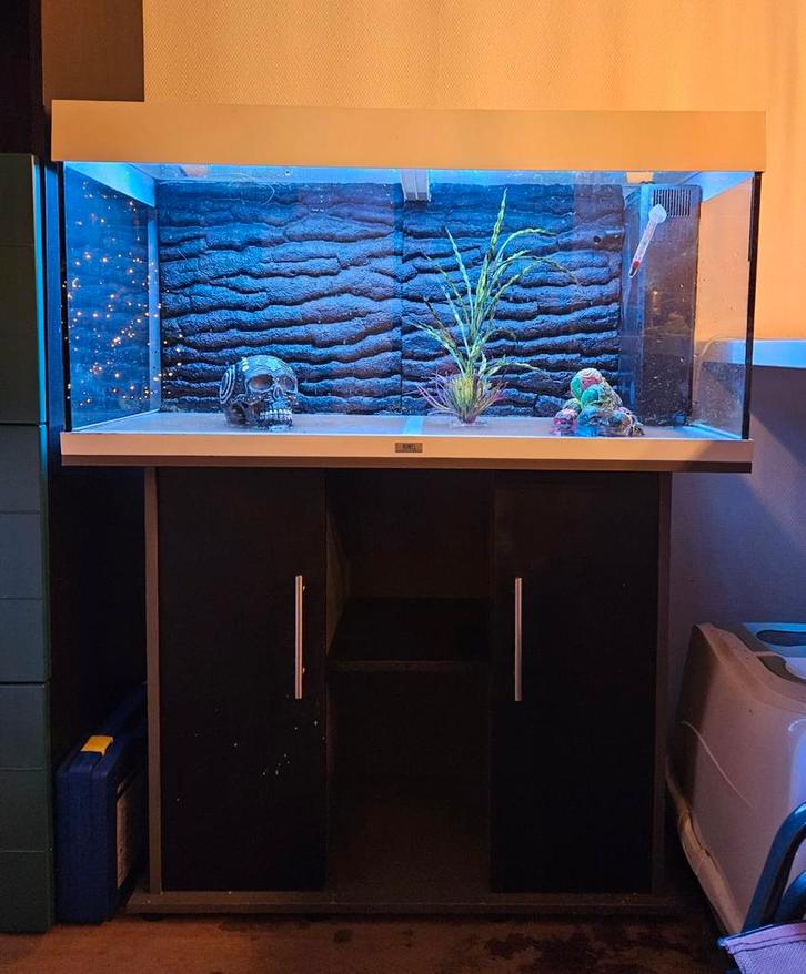 Juwel Rio 180 met Helialux Spectrum en controller, Dieren en Toebehoren, Vissen | Aquaria en Toebehoren, Gebruikt, Leeg aquarium