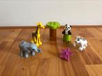 Duplo 10904 baby dieren, Ophalen of Verzenden, Gebruikt, Complete set, Duplo