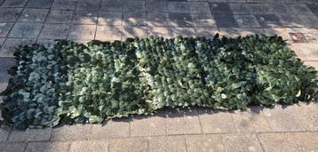 kunst haag kunst klimop op balkon schutting  290 cm x 90 cm  beschikbaar voor biedingen