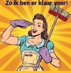 Schoonmaakster, Overige niveaus, Vanaf 10 jaar, Overige vormen