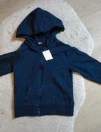 Vest nieuw maat 122/128, Ophalen of Verzenden, Nieuw, Meisje, Truitje of Vestje