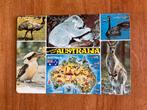 Greetings from Australia. Dieren van Australië., Verzamelen, Ansichtkaarten | Buitenland, Ophalen of Verzenden, Gelopen, Buiten Europa