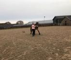 Lease paard aangeboden, Dieren en Toebehoren, Ophalen of Verzenden, Zo goed als nieuw