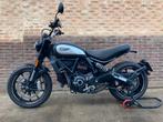 DUCATI SCRAMBLER ICON (bj 2019), 2 cilinders, Bedrijf, Meer dan 35 kW, Overig