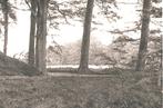 990564 Hulshorst NJV Kamp voor Jongemannen 1931 Gld gelopen, Verzamelen, Ophalen of Verzenden, 1920 tot 1940, Gelopen, Gelderland