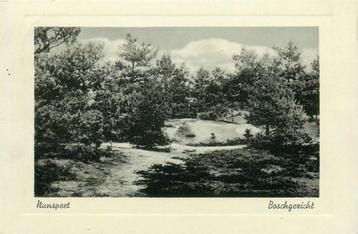 (387-180-013) Nunspeet Boschgezicht beschikbaar voor biedingen