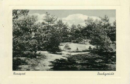 (387-180-013) Nunspeet Boschgezicht, Verzamelen, Ansichtkaarten | Nederland, Gelderland, Verzenden