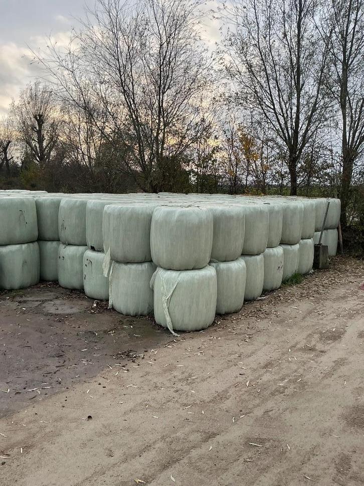 Midibalen, uitstekend hooi voor paarden, Dieren en Toebehoren, Stalling en Weidegang