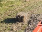 Hooi pakjes te koop, Schaap