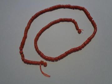 Snoer bloedkoralen beschikbaar voor biedingen