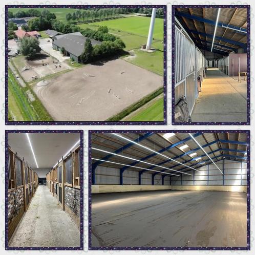Nieuwe stallen beschikbaar, Dieren en Toebehoren, Stalling en Weidegang, Stalling, 4 paarden of pony's of meer