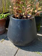 Elho bloempot zwart pure cone 45cm, Tuin en Terras, Bloempotten, Kunststof, Gebruikt, Rond, Tuin