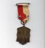 Medaille: Lentemars Nĳmegen, Postzegels en Munten, Penningen en Medailles, Verzenden, Overige materialen, Nederland