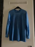 gollehaug trui 44, Kleding | Dames, Blauw, Gollehaug, Maat 42/44 (L), Ophalen of Verzenden