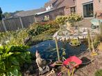 Vijver, Tuin en Terras, Vijver-toebehoren, Ophalen, Gebruikt