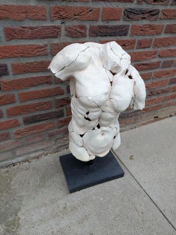 Beeld Torso (+/- 70 cm) beschikbaar voor biedingen