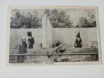 Arnhem Burgers Dierenpark Berenverblijf, Verzamelen, Ansichtkaarten | Nederland, Ophalen of Verzenden, 1920 tot 1940, Ongelopen