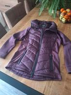 Felix Bühler Dames Jasje - Maat S, Dieren en Toebehoren, Paardrijkleding, Dressuur, Ophalen of Verzenden, Zo goed als nieuw, Dames