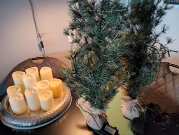 2 kleine kerstboompjes met lichtjes op batterijen. beschikbaar voor biedingen
