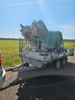 Leuke beelden koe varken geit honden kippen katten enz, Ophalen of Verzenden, Nieuw
