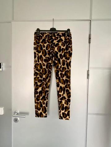 i67 Scotch & Soda maat W26/L30 jeans broek beige/bruin/zwart beschikbaar voor biedingen