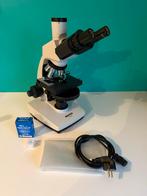 Novex B-Range Trinoculaire Fase Contrast Microscoop, Audio, Tv en Foto, Optische apparatuur | Microscopen, Ophalen of Verzenden