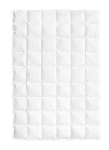 Dekbed ganzendons 220x200cm, 2,5 kg donsvulling EXTRAWARM beschikbaar voor biedingen