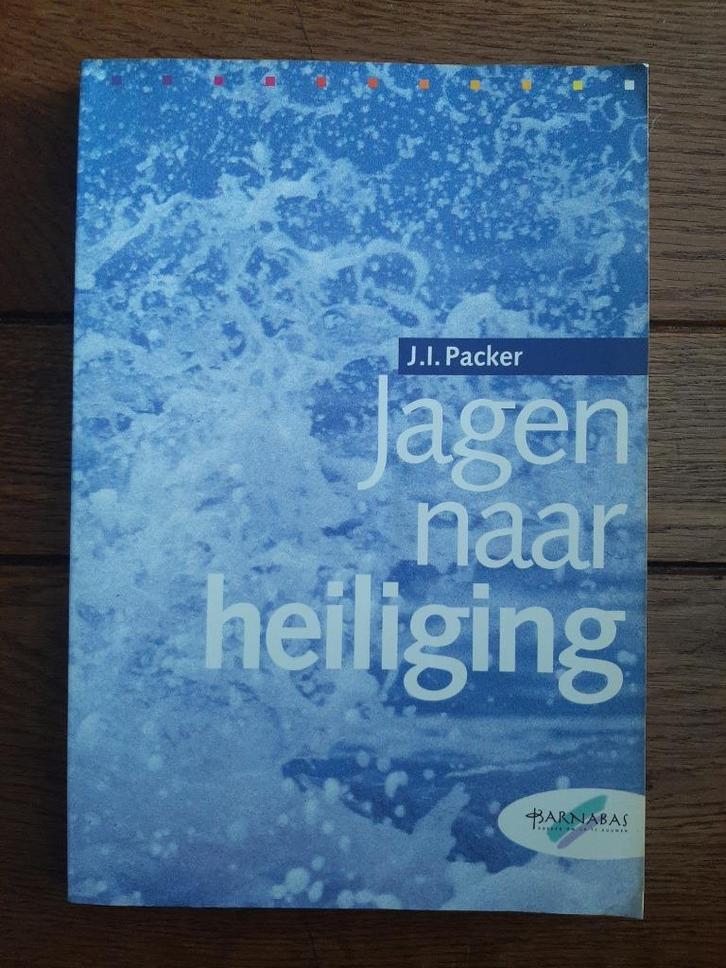 J.I. Packer, Jagen naar heiliging., Boeken, Godsdienst en Theologie, Gelezen, Ophalen of Verzenden