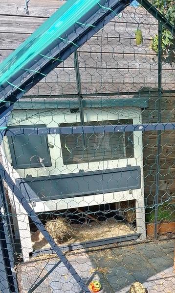 Lodge 140 konijnenhok  beschikbaar voor biedingen