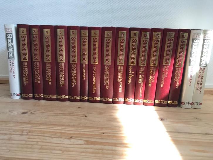 Studiebijbel, Boeken, Godsdienst en Theologie, Gelezen, Christendom | Katholiek, Ophalen of Verzenden