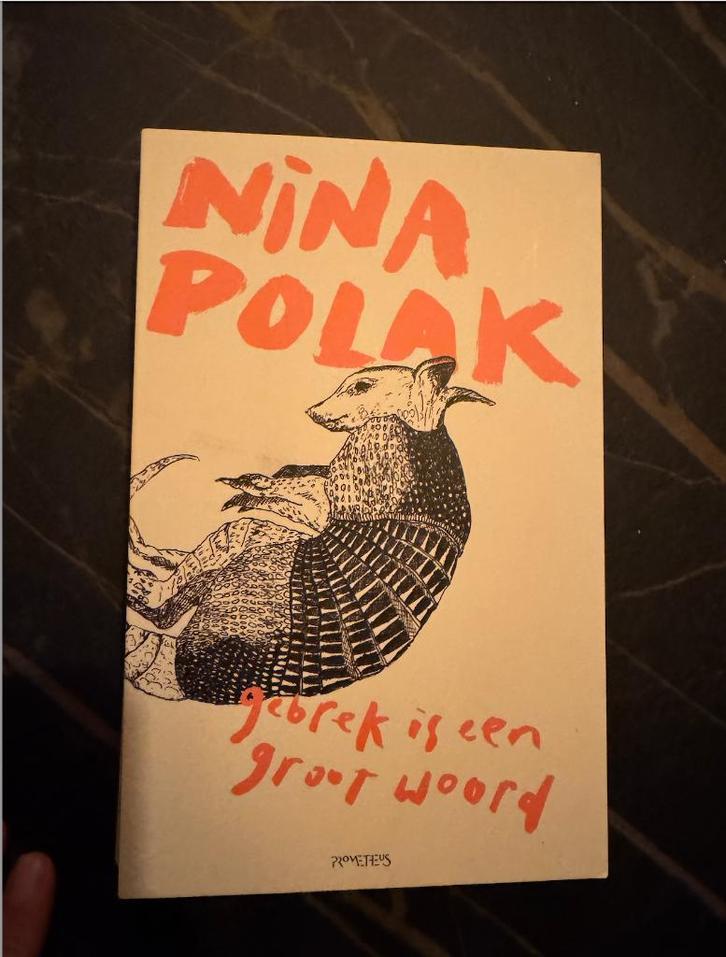 Gebrek is een groot woord (auteur: Nina Polak), Boeken, Romans, Nieuw, Nederland, Ophalen of Verzenden