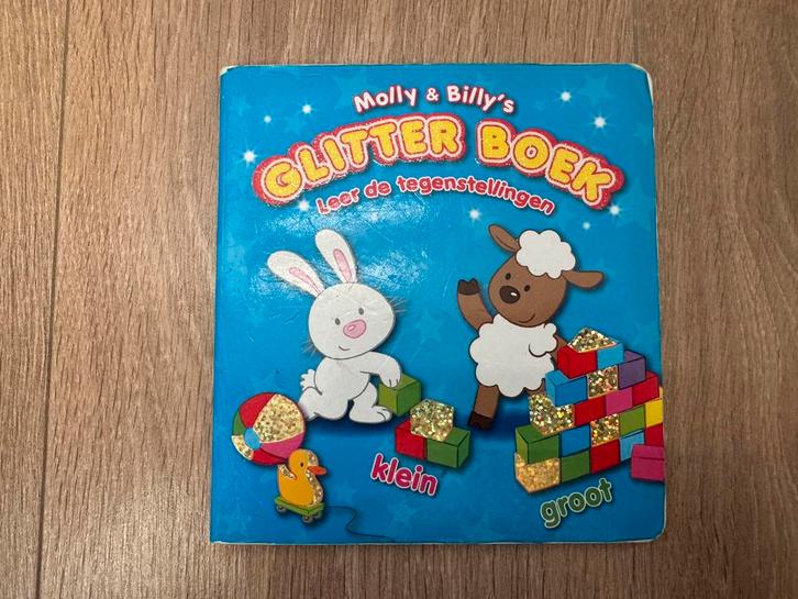 Molly’s & Billy’s glitter boek - leer de tegenstellingen, Boeken, Kinderboeken | Baby's en Peuters, Gelezen, Ophalen of Verzenden