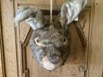NIEUW groot konijn pluche knuffel wandhanger muurhanger, Ophalen of Verzenden, Nieuw