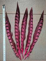 5 roze veren ,echte veren fazant carnaval, Materiaal, Ophalen of Verzenden, Zo goed als nieuw, Nvt