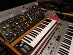 Behringer  POLY  D, Muziek en Instrumenten, Nieuw, Overige aantallen, Met midi-aansluiting, Ophalen