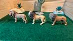 Schleich leeuwen, Verzamelen, Dierenverzamelingen, Ophalen of Verzenden, Zo goed als nieuw, Paard, Beeldje of Figuurtje