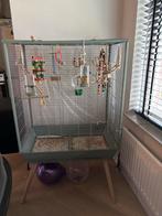 Grasparkietjes + de kooi, Dieren en Toebehoren, Ophalen of Verzenden, Metaal, Vogelkooi