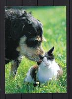 723 HOND en KAT, Ophalen of Verzenden, 1980 tot heden, Gelopen, Hond of Kat