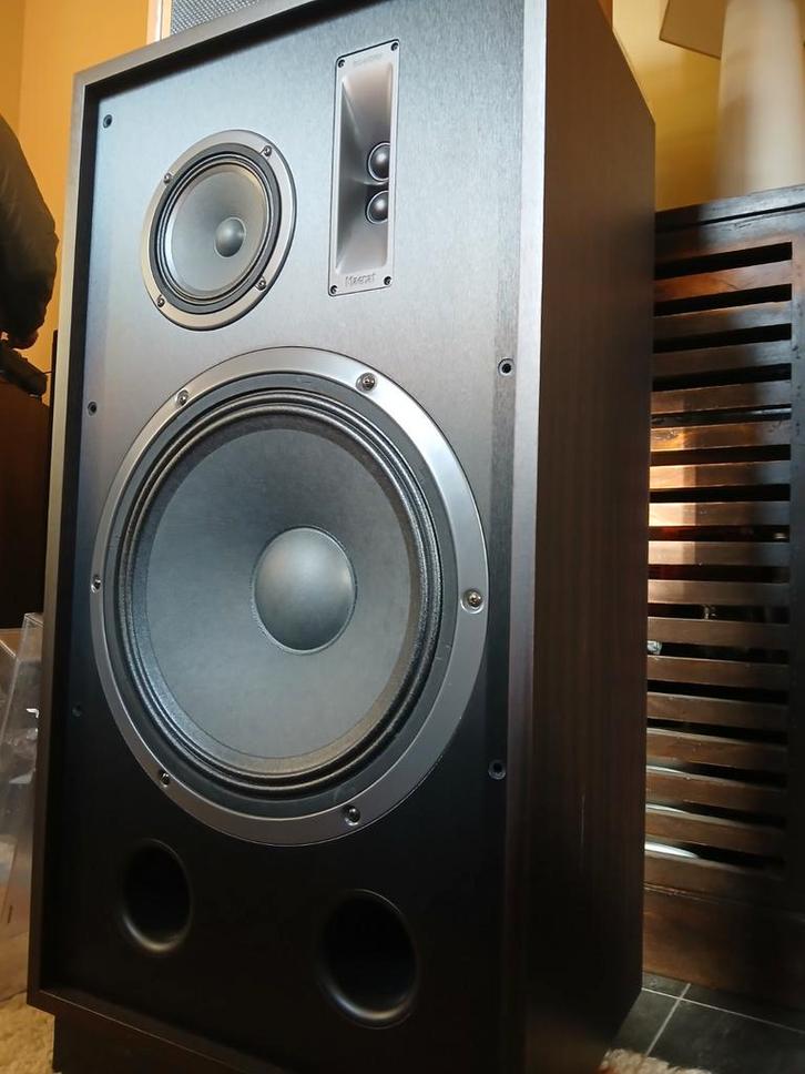 MAGNAT Transpuls 1500, Audio, Tv en Foto, Luidsprekers, Zo goed als nieuw, Front, Rear of Stereo speakers, 120 watt of meer, Magnat