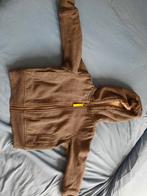 Borgvest hema kleur grijs Maat 86 jongen, Ophalen of Verzenden, Zo goed als nieuw, Jongetje