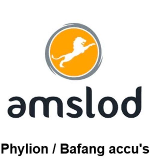 Amslod accu en lader voor de nieuwste ebikes (Phylion GX20), Fietsen en Brommers, Fietsonderdelen, Nieuw, Algemeen, Overige typen