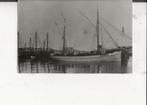 Scheveningen Sch 189 Zeillogger in de haven Fotokaart, Verzenden, Voor 1920, Ongelopen, Zuid-Holland